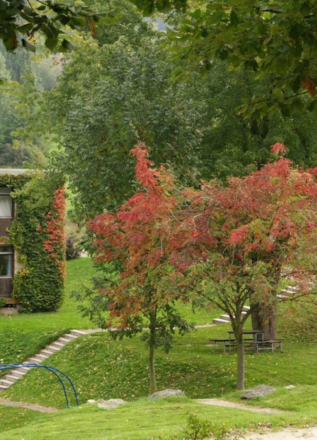 Waldblick Appartement Ober-Hambach Luaran gambar