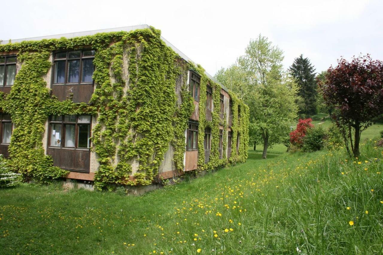 Waldblick Appartement Ober-Hambach Luaran gambar