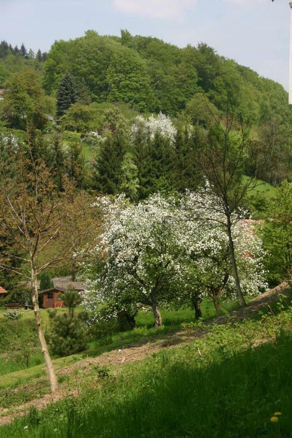 Waldblick Appartement Ober-Hambach Luaran gambar